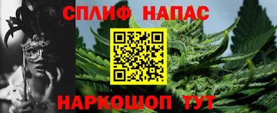 мдпв Можга