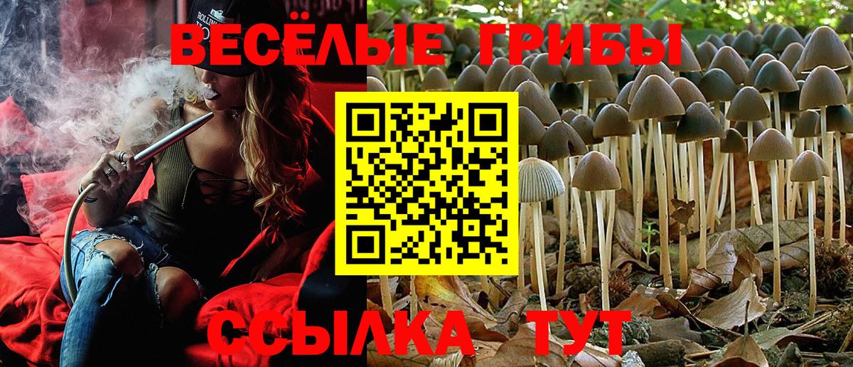 Галлюциногенные грибы мухоморы  Вход с VPN  Тула 